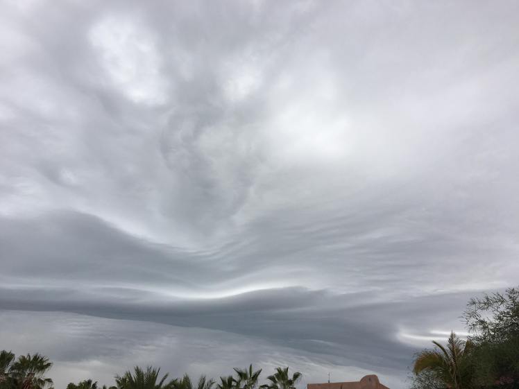 50554439_393282164548953_564334474783883264_n