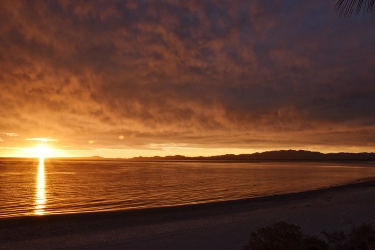 2BAFD33C-8D9C-4811-9723-088A045C4D17