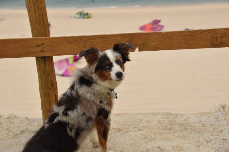 8B4B2178-2DB5-41B1-9871-A293F789C3FE