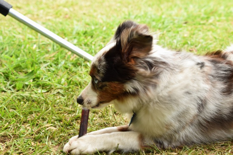 Photo Aug 06, 2 25 19 PM