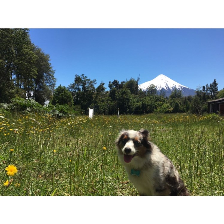 462E58FC-C94F-44DA-A3A5-3414C888D254